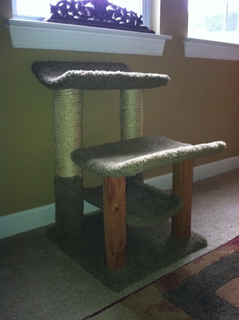 small scratching post used at Carolina Blues Cattery